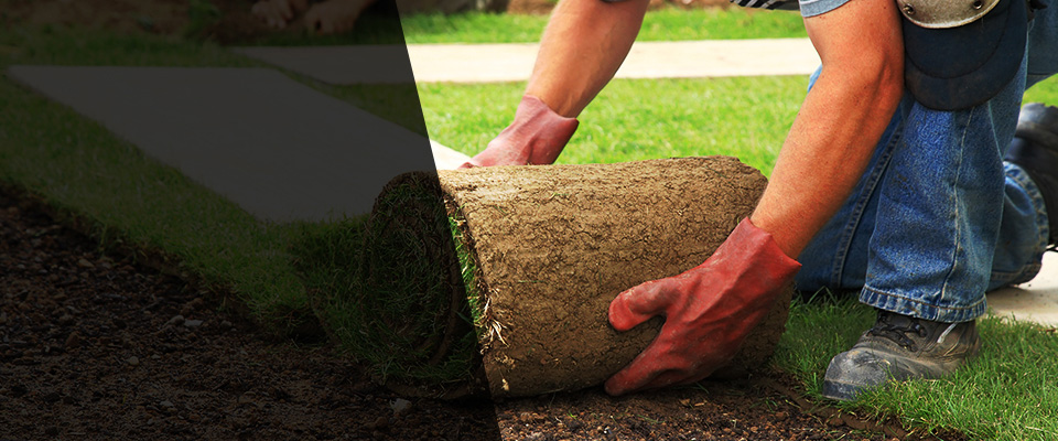 Schererville Landscapers